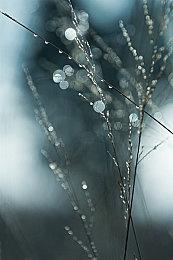 特别好评独游续作《Kathy Rain 2: Soothsayer》将于2月24日亮相Steam新品